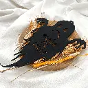 A01326-02-Halloween Geist „TRICK OR TREAT“.webp