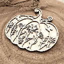 A01230-02-Kürbisdeko - Blumenreigen im Kürbis.png