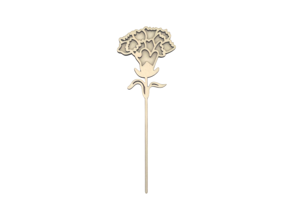 Nelke mit normalem Stängel