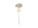 Nelke mit normalem Stängel