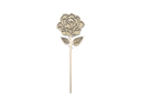 Rose mit normalem Stängel