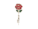 Rose mit „Mama“-Stängel