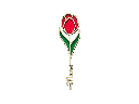 Tulpe mit „Mama“-Stängel