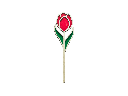 Tulpe mit normalem Stängel