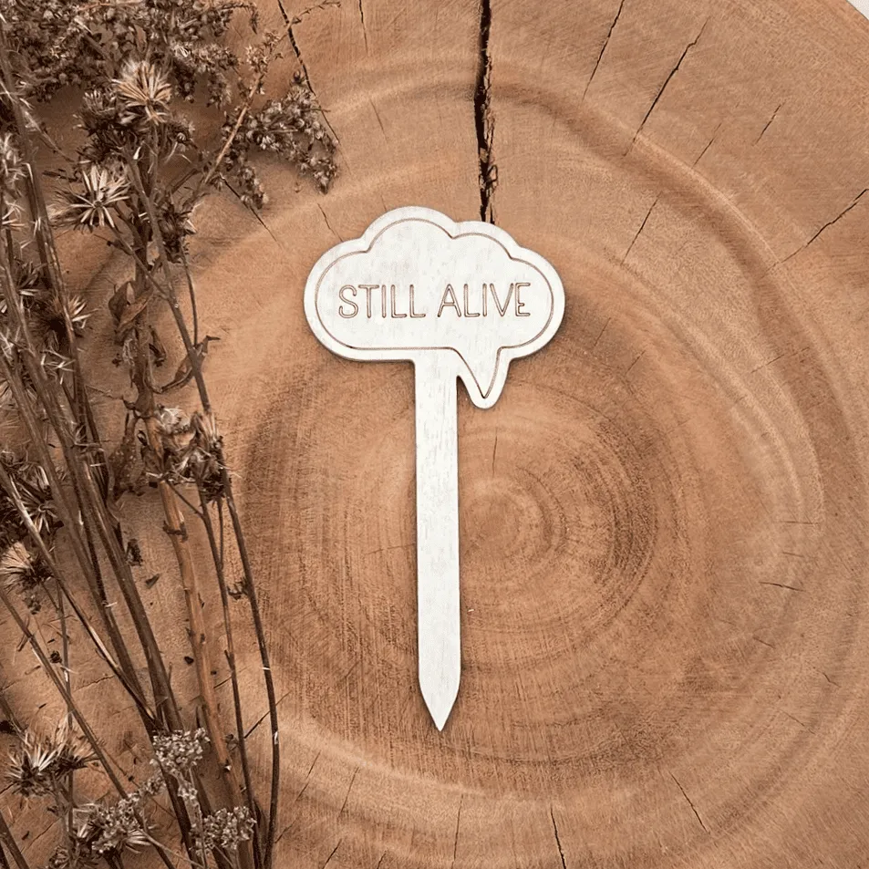 Pflanzenstecker aus Holz mit Spruch – „STILL ALIVE“