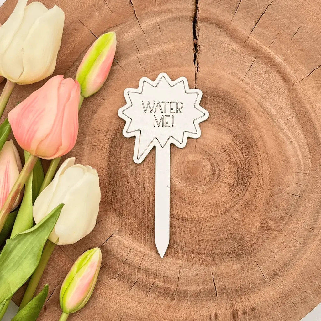 Pflanzenstecker aus Holz mit Spruch – „WATER ME!“