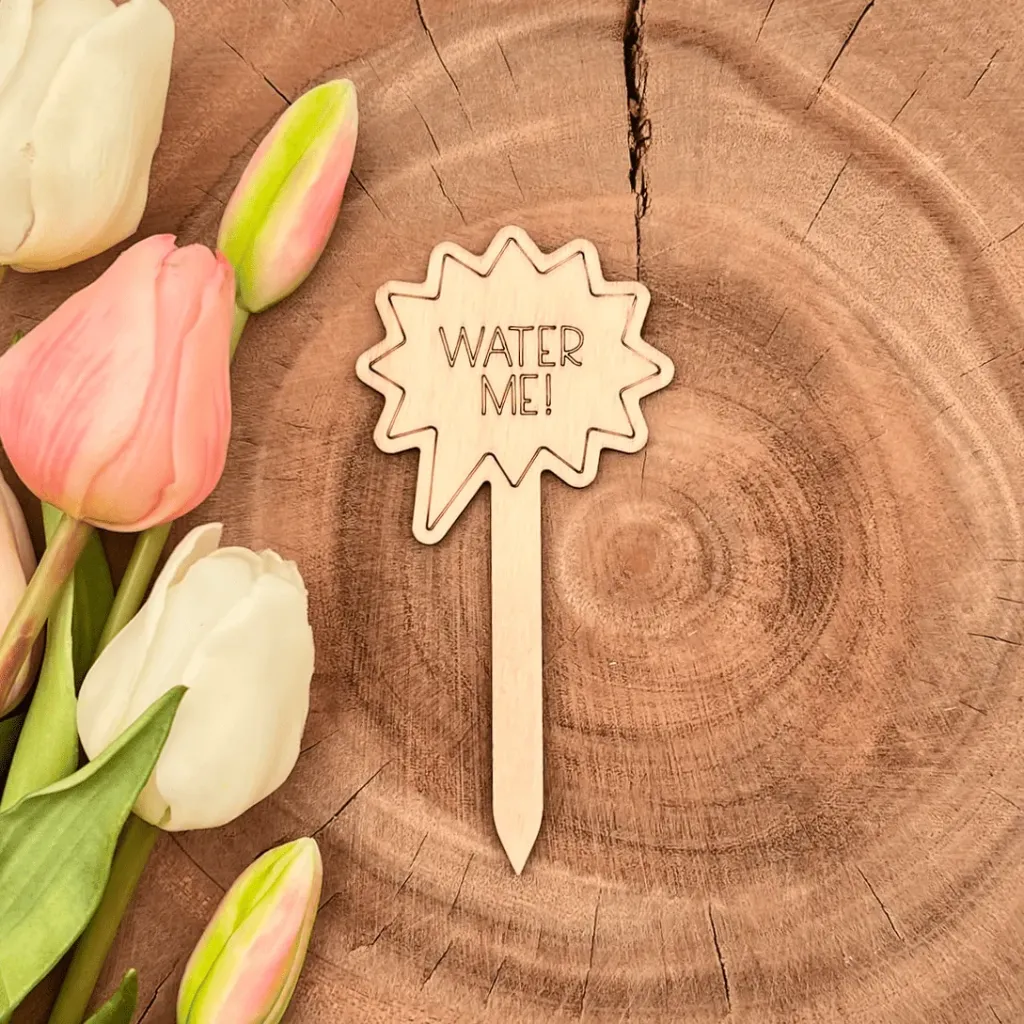 Pflanzenstecker aus Holz mit Spruch – „WATER ME!“