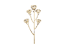 Wildblumenstecker aus Holz - Motiv 9