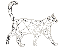 Wandbild - Katze