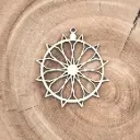 Schneeflocke - Himmelsblume